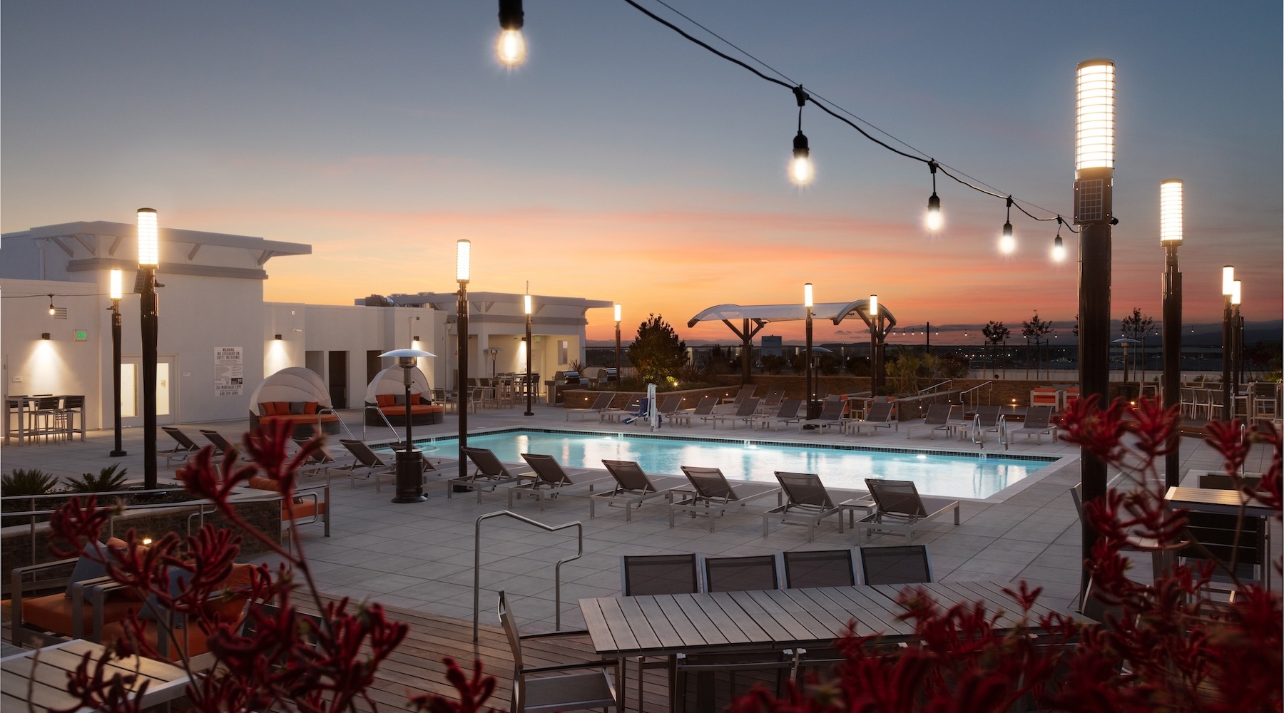 Embrace the Urban Pulse pool with large palm trees and tropical landscaping