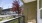 a deck with a tree and a building in the background